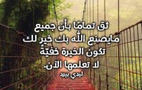 دينية روعة