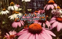دينية مختصرة