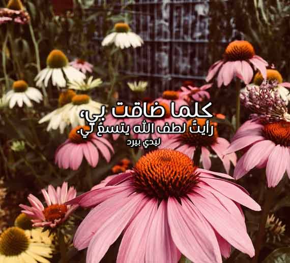 دينية مختصرة