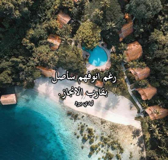 عن الانجاز والابداع