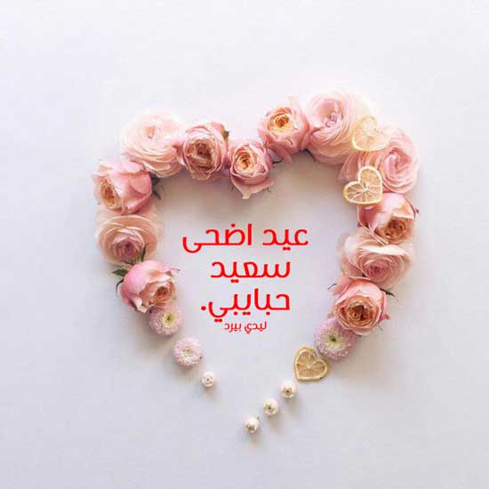 تهنئة الحبيب بالعيد