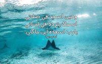 تهديه لمن تحب