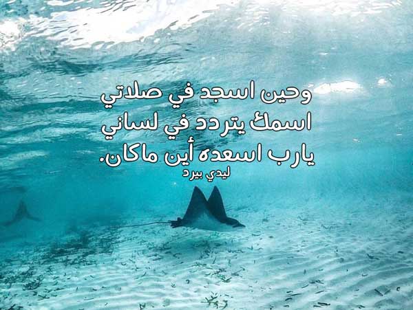 تهديه لمن تحب