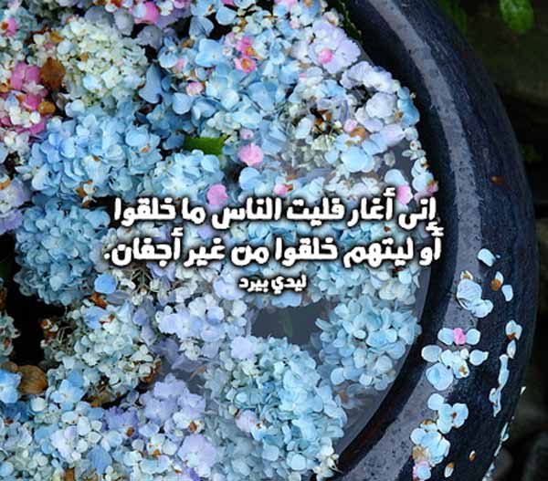 شعر غزل قوي