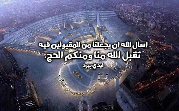 جميل للحجاج