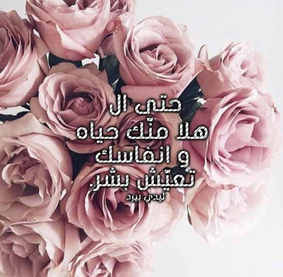 غزل خليجي