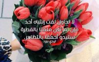 للبنات جميلة