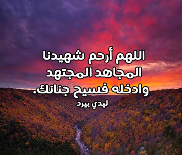 للشهيد المجاهد