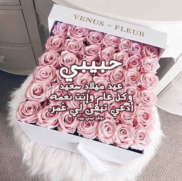 ميلاد حبيبي 2