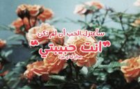 انت حبيبتي