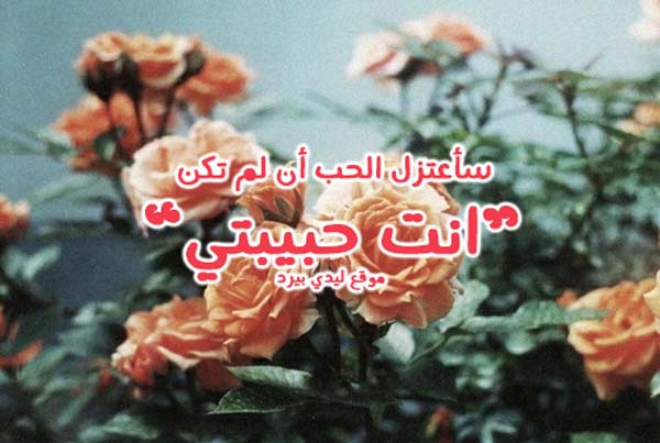 انت حبيبتي