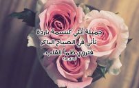 كلام جميل يقال للبنات 13 كلام جميل يقال للبنات