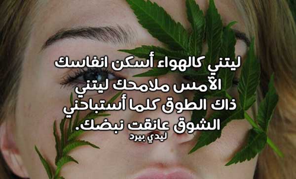 غزل خطير