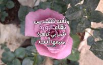 كلام غزل عن الورد