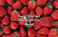 كلام يدوخ البنت 13 كلام يدوخ البنت