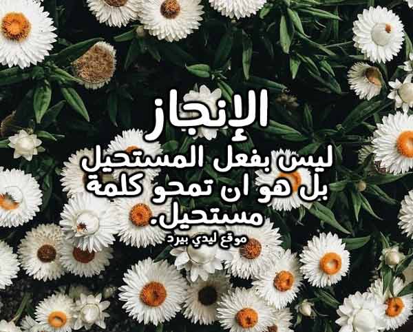 عن الانجاز