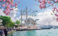 كلام حلو من اجمل كلام حلو عن كل شيء 5 كلام حلو