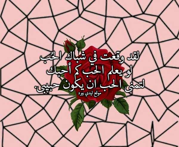 كلام حلو للحبيب قصير قبل النوم