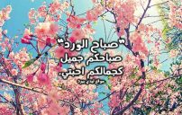 اجمل كلام صباحي للاحبة 8 اجمل كلام صباحي للاحبة