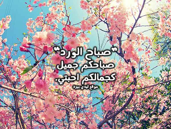 اجمل كلام صباحي للاحبة 1 اجمل كلام صباحي للاحبة