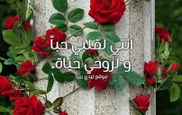 حب قصيره