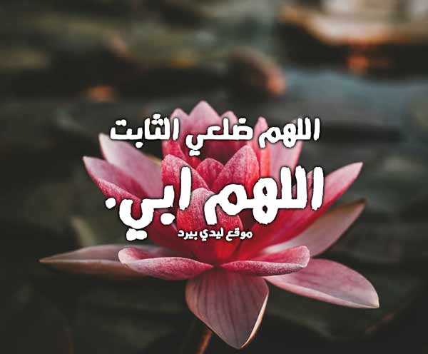 قصير للاب