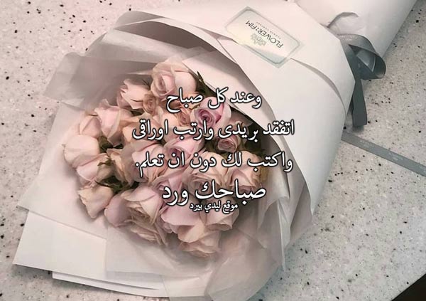 رومانسية صباحية