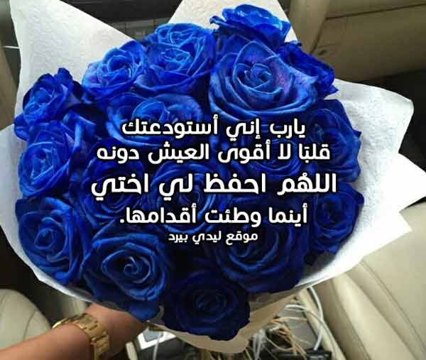 للاخت المسافرة