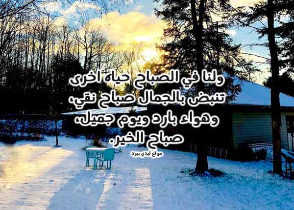 صباحية جميلة