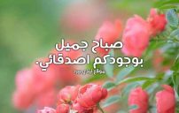 صباحية للاصدقاء