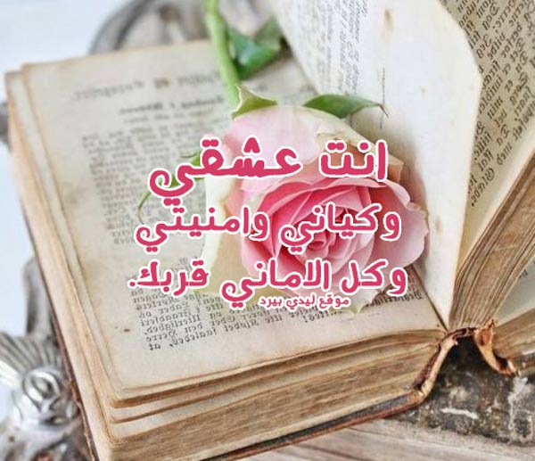 انت عشقي