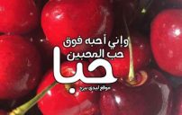 كلام حب حلو 5 كلام حب حلو