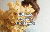 كلام حلو عن الورد 5 كلام حلو عن الورد