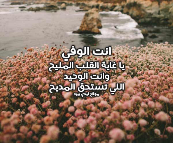 حلو لشخص