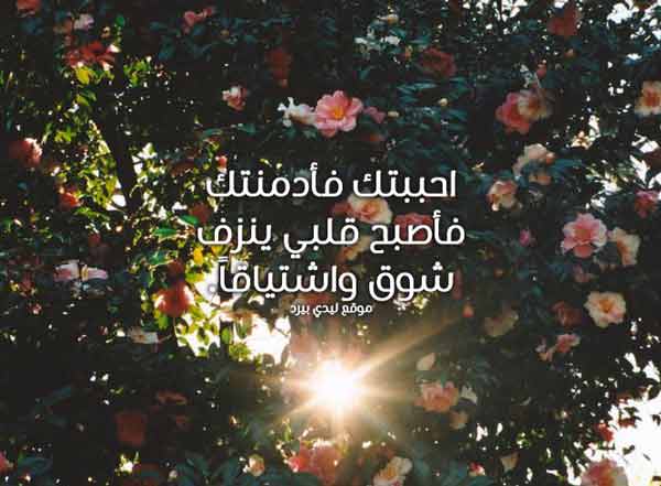 رومانسي قصير جدا