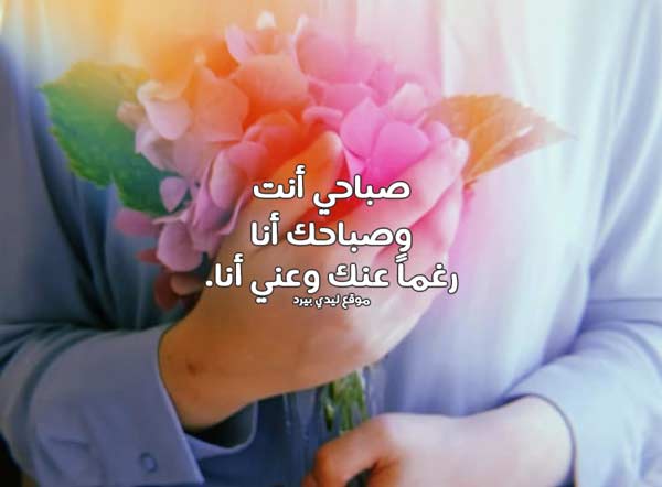صباحي جميل