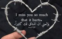شوق بالانجليزي مترجمة