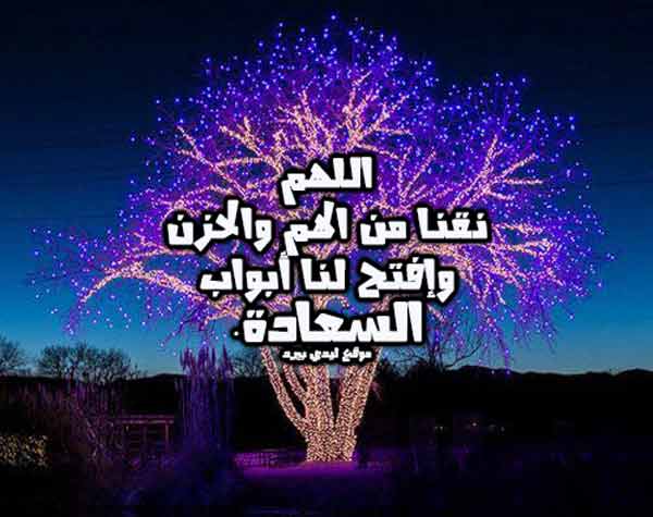 السعادة قصير