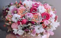 مدح للحبيب