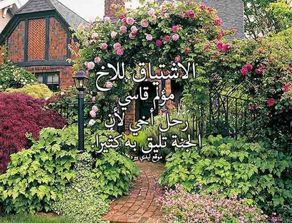 اشتياق لاخي الميت