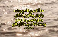 عن رحيل الحبيب