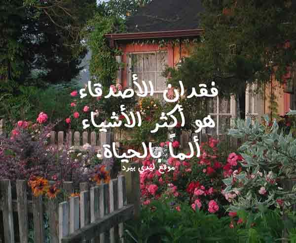 عن فراق الاصدقاء
