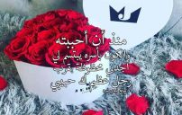 مدح الحبيب