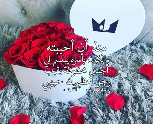 مدح الحبيب