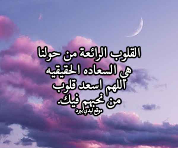 عن السعادة الحقيقية