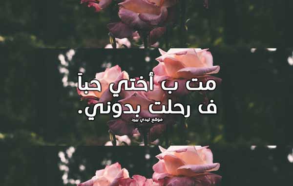عن رحيل الاخت