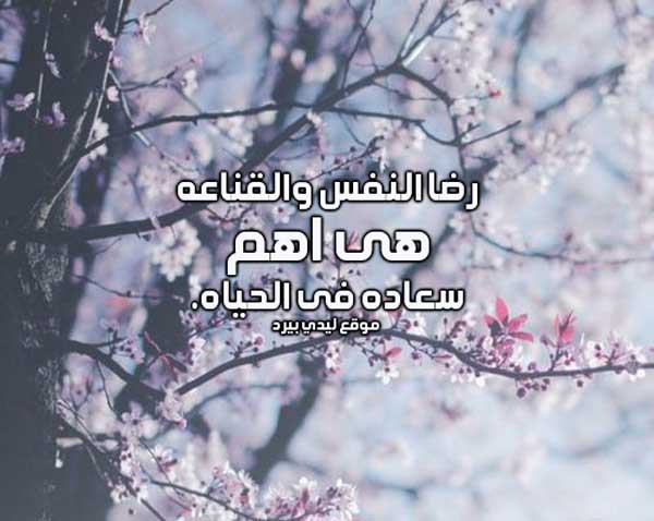 عن سعادة النفس