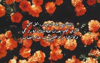 في وصف صديق