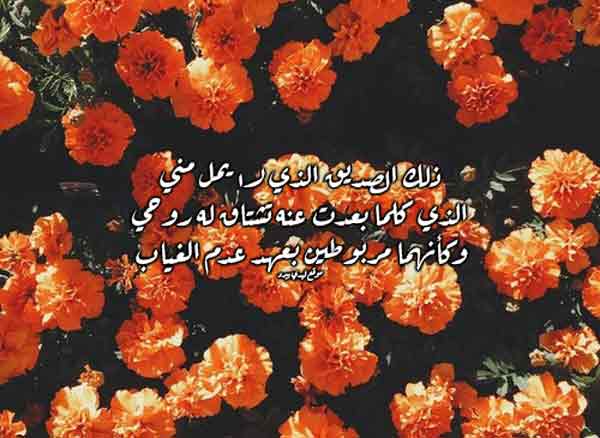 في وصف صديق