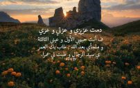 مدح حبيبي